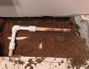 沐川测漏水哪家好