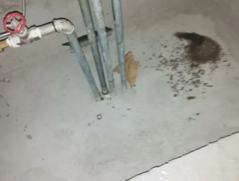 沐川卫生间测漏水价格明细