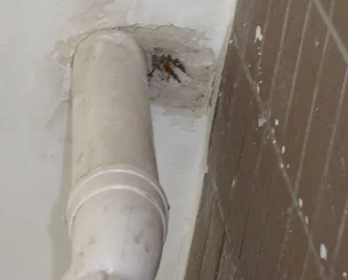 沐川漏水检测哪家好